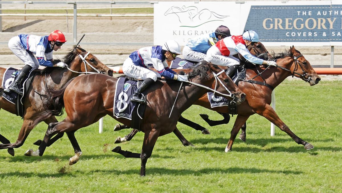 Online bargain makes quick return with debut win