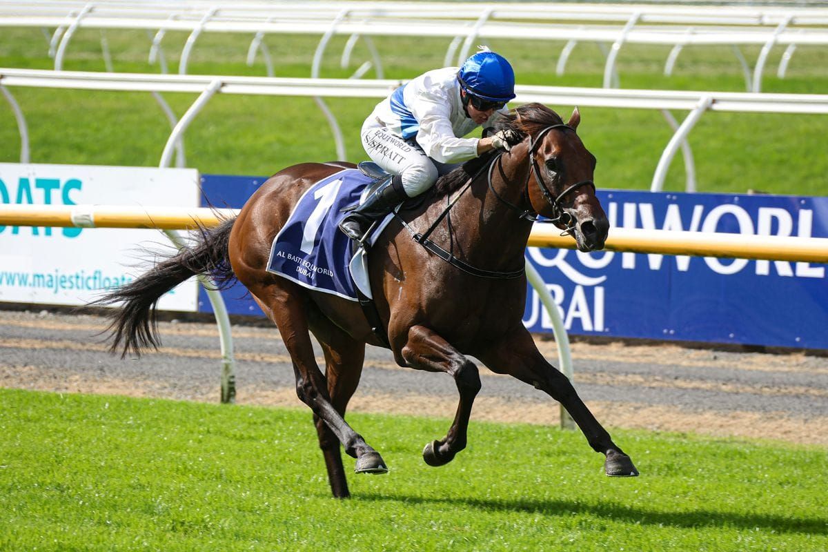 Group One winner Savaglee retired