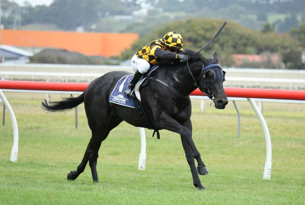 Blinkers prove the difference for well-related three-year-old