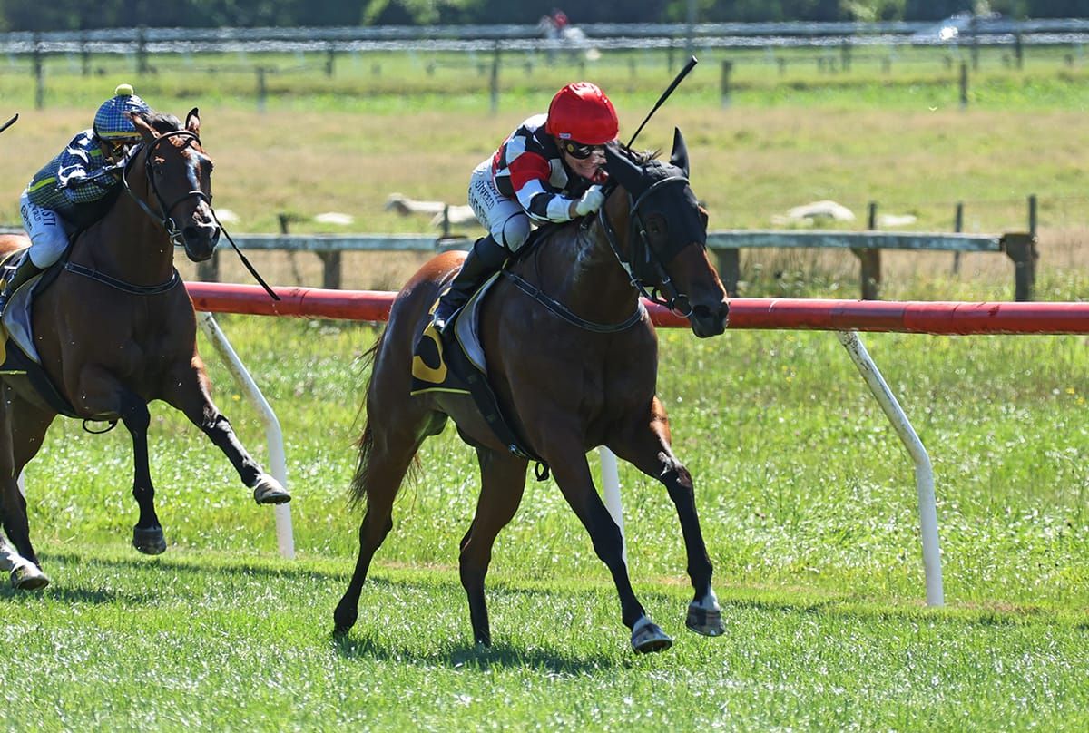 Maiden win sparks stakes tilt for promising filly