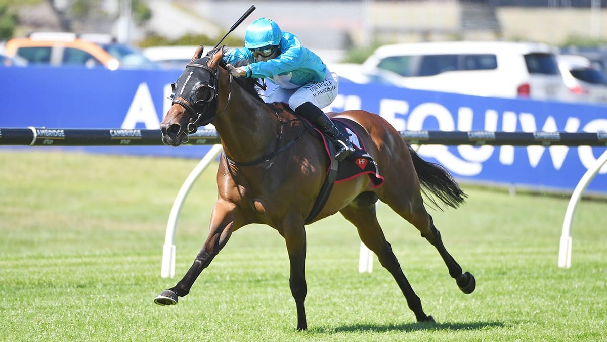 Sweynesday wins sensational King’s Plate