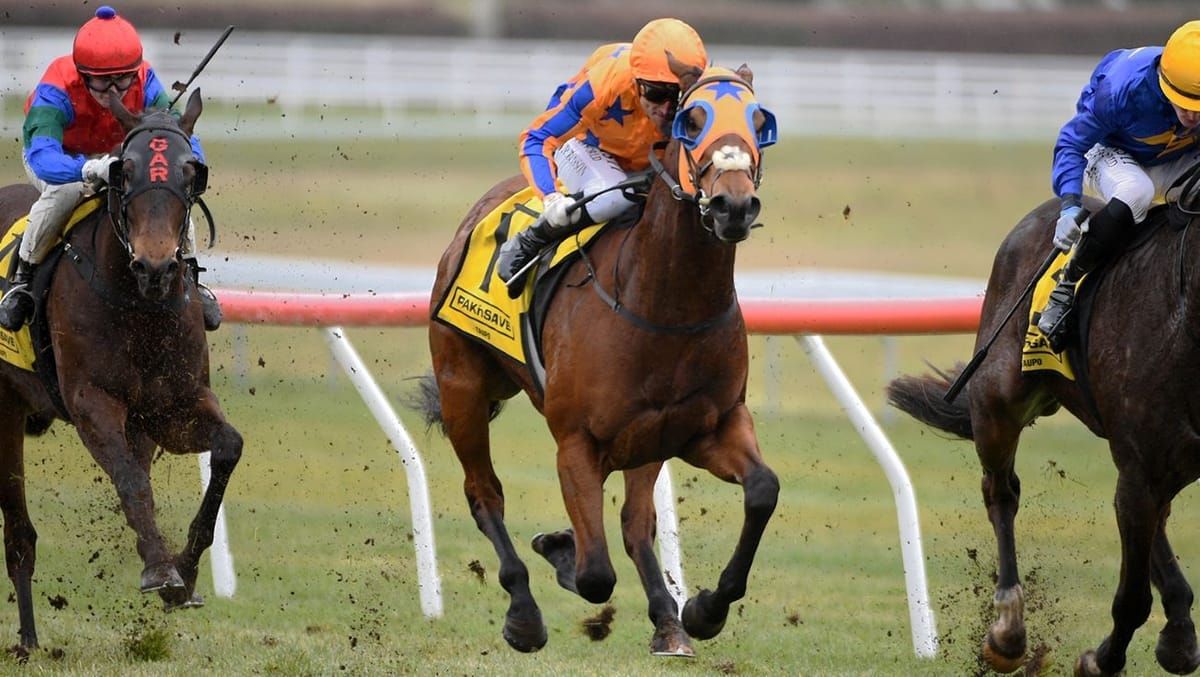 $4 million NZB Kiwi Field Complete