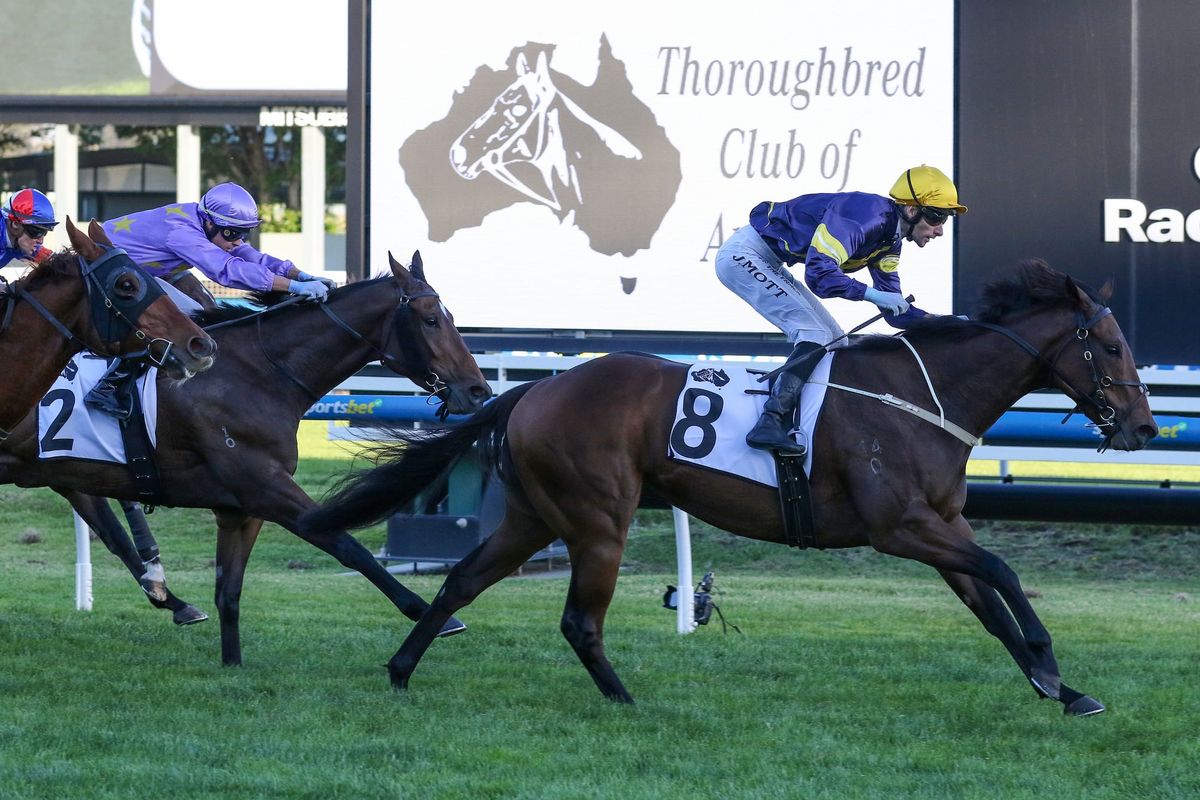 War Machine out for Newmarket redemption
