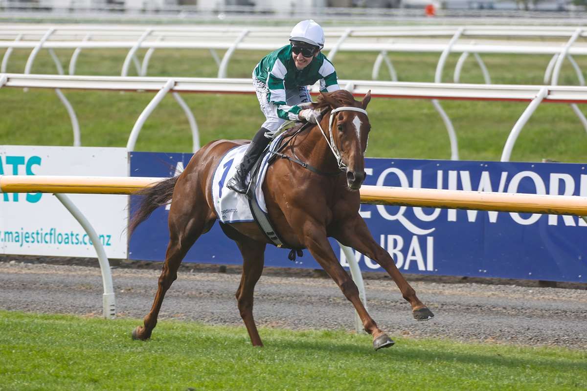 All Eyes on Well Written in $4m NZB Kiwi