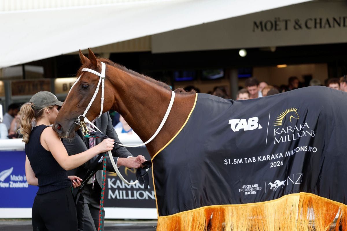 National Online Yearling Sale Catalogue Now Live