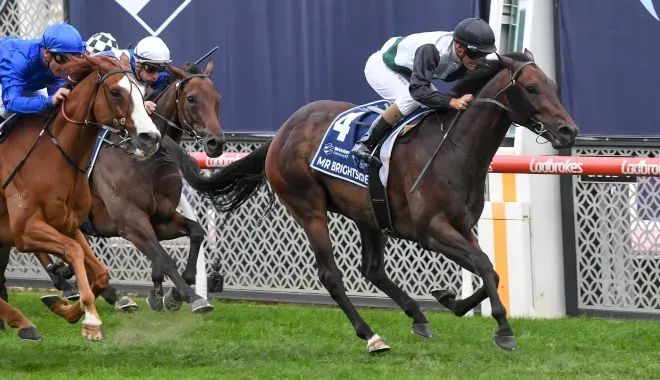 Mr Brightside's spring build-up to begin