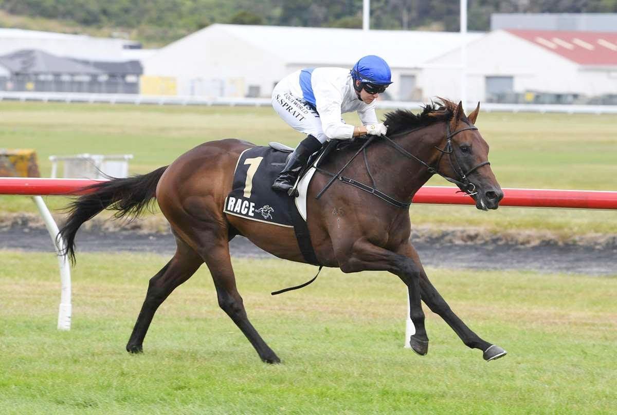 Stud syndicate swoops on Champion Three-Year-Old Savaglee