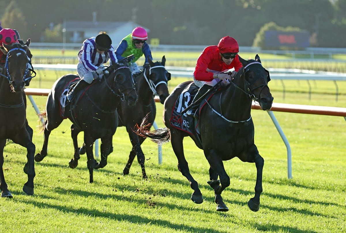 Atmospheric in rarefied air at Otaki