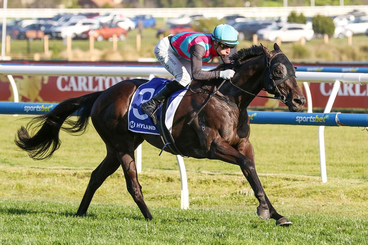 Queensland star Antino retired