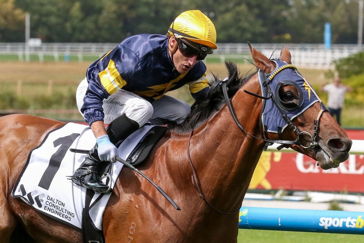 Hayes Banking on Mornington Cup winner