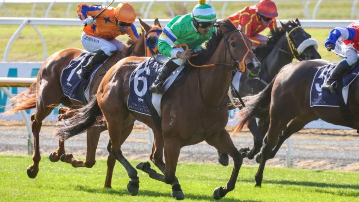 Australia beckoning Bona Sforza