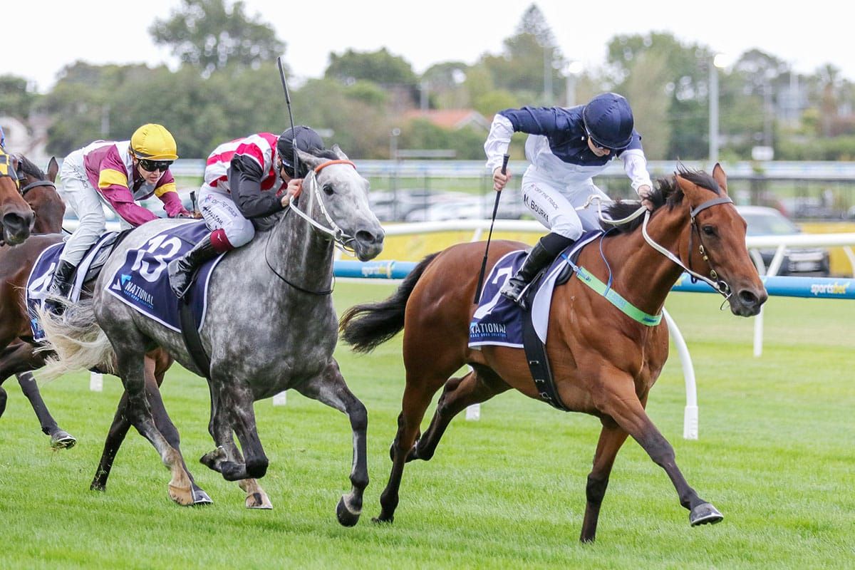 Bring Forth goes back-to-back