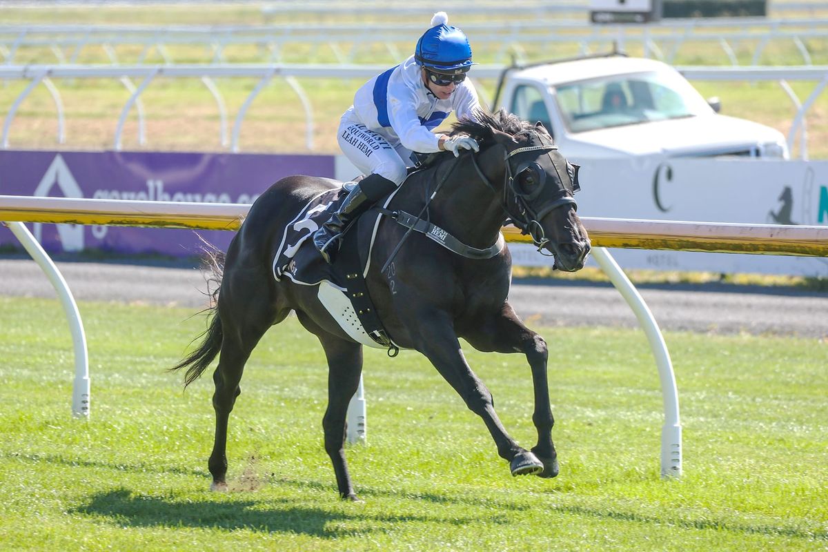 Rae runners raring to go for Riccarton