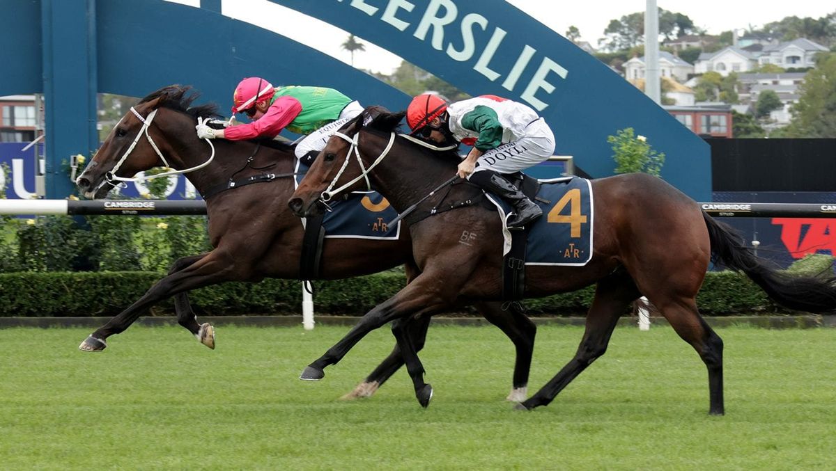 Australian spring campaign in the works for Castle Rock