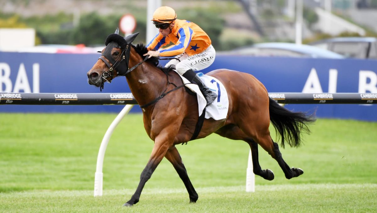 Charmrose proves too quick at Ellerslie