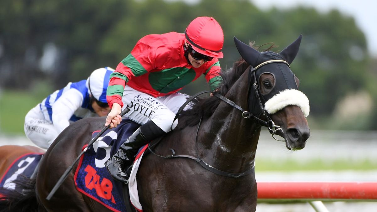 Chatelle Rose set to bloom at Te Rapa