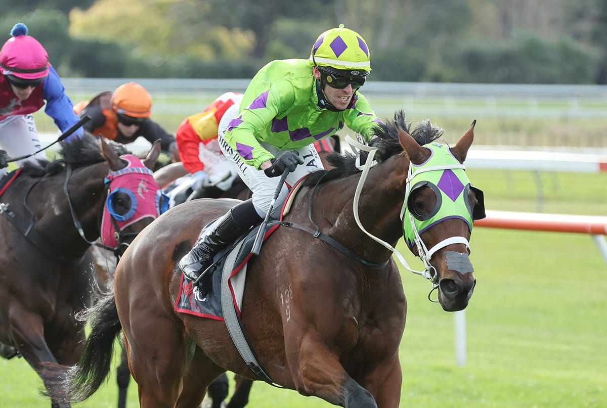 Crouch dominant in Hawke’s Bay Cup