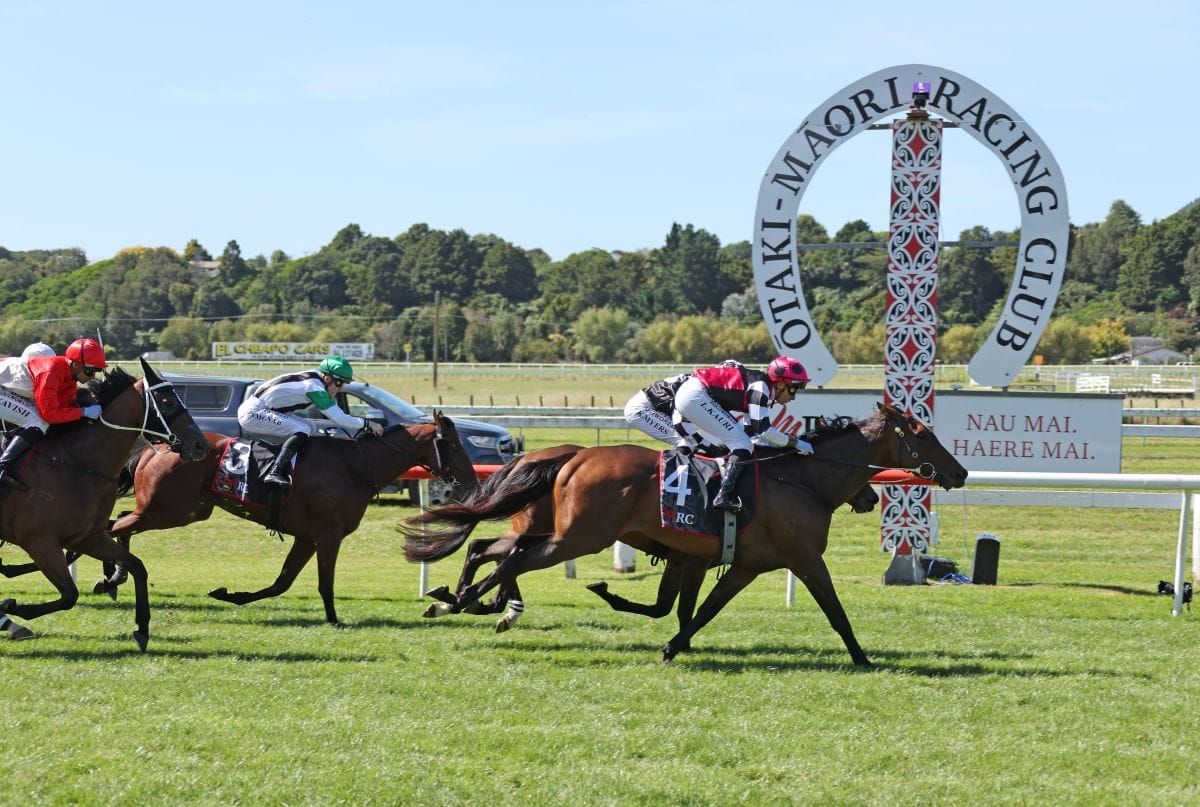 Tyler looking north again after five-win Riverton bag