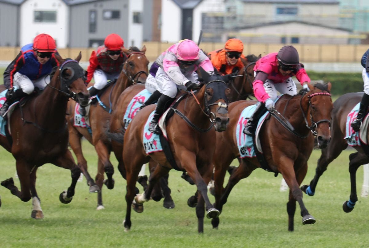 Girl Talk earns stakes tilt