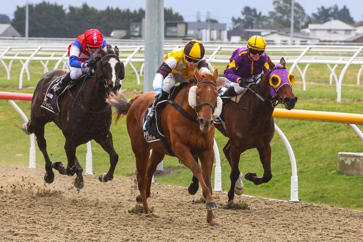 Telperion mare ready to turn fortunes around