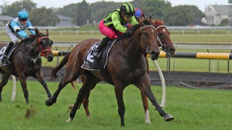 Promising filly set to star on southern venture