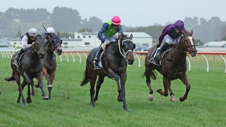 Campbell duo in line for stakes assignments