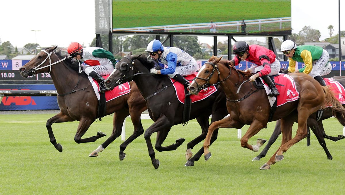 Stakes assignment in the offing for La Diem