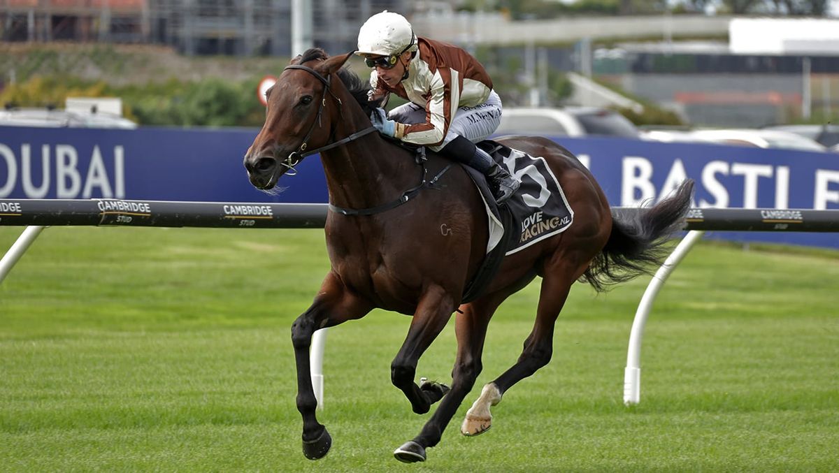 Bigger things tipped for Levakia