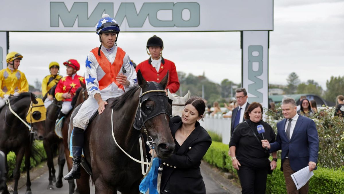 Lupo Solitario takes traditional Ellerslie feature