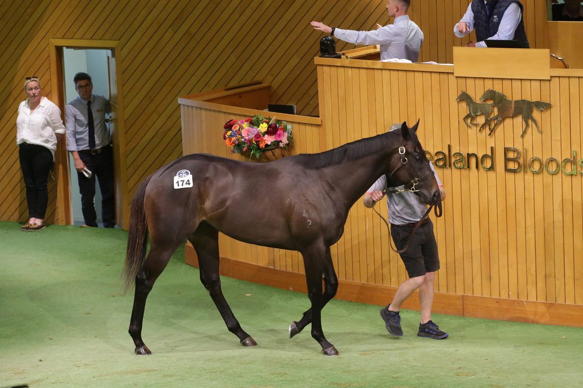 National Online Yearling Sale Set to Recommence Tonight