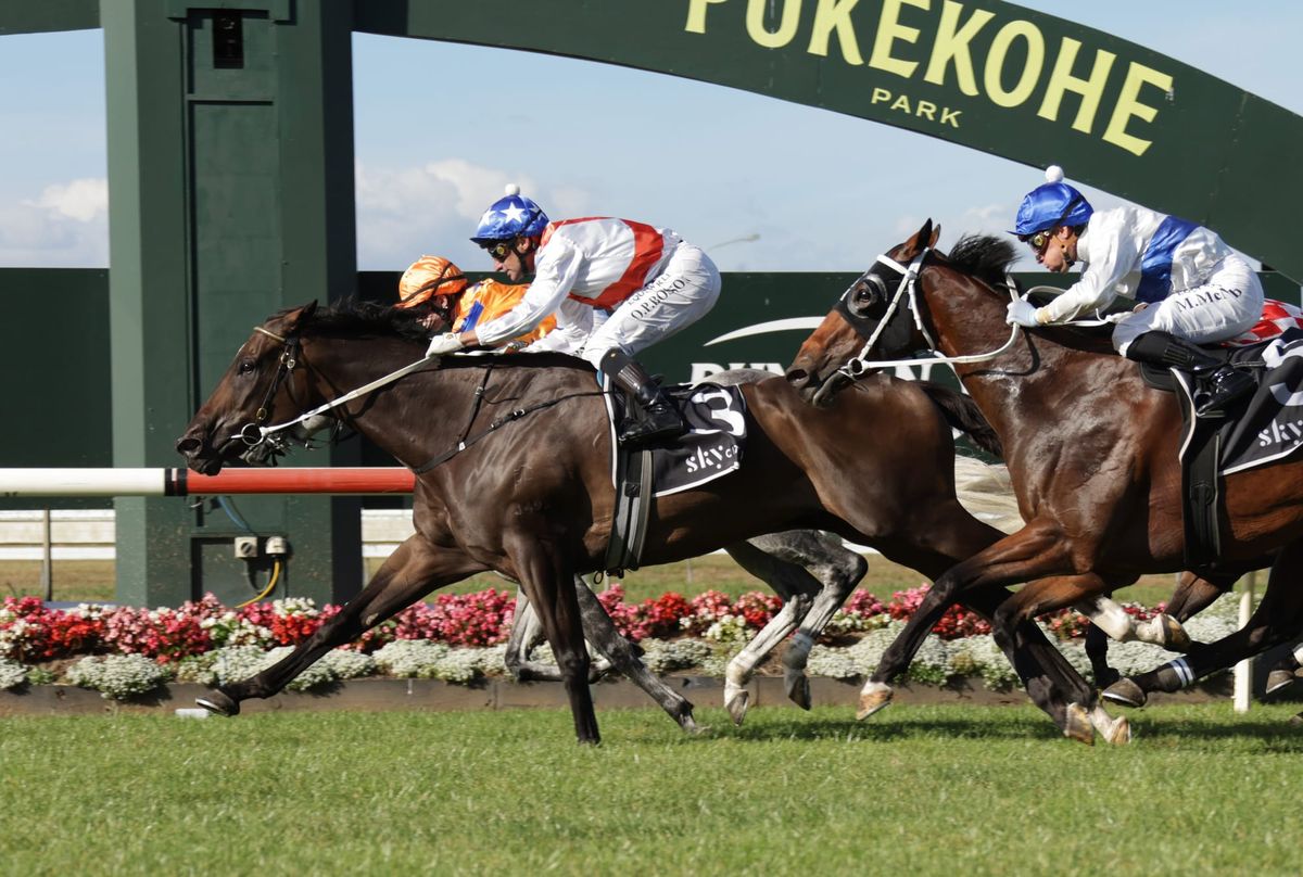 Guy’s rehab talents put to good use ahead of Easter Handicap