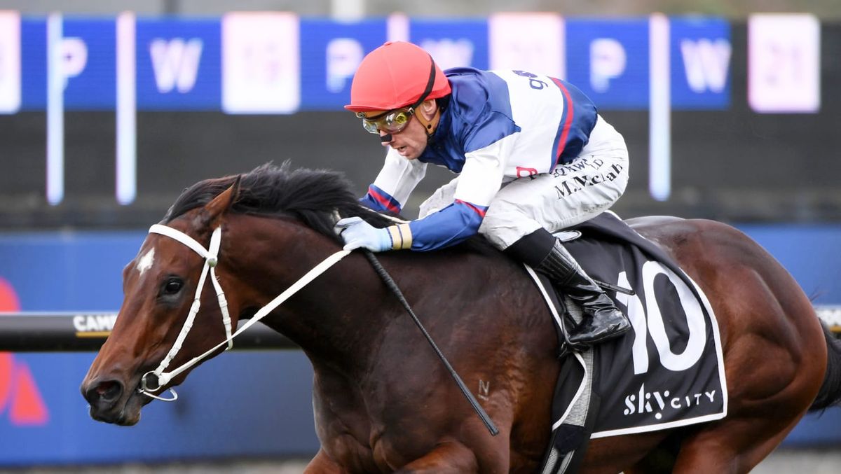 Familiar partnership go back-to-back in Star Way Stakes