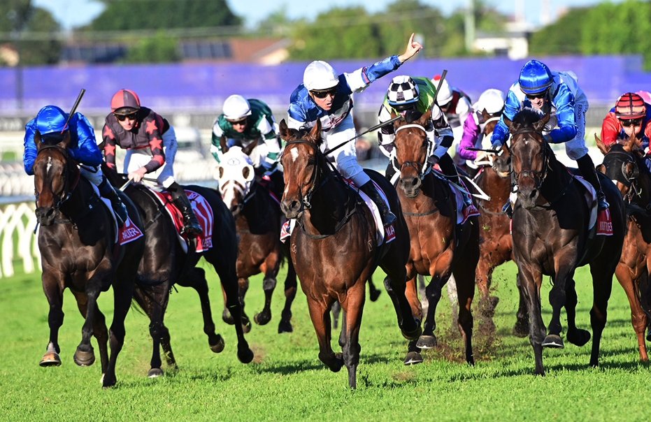 Maison Louis to kick off on Anzac Day