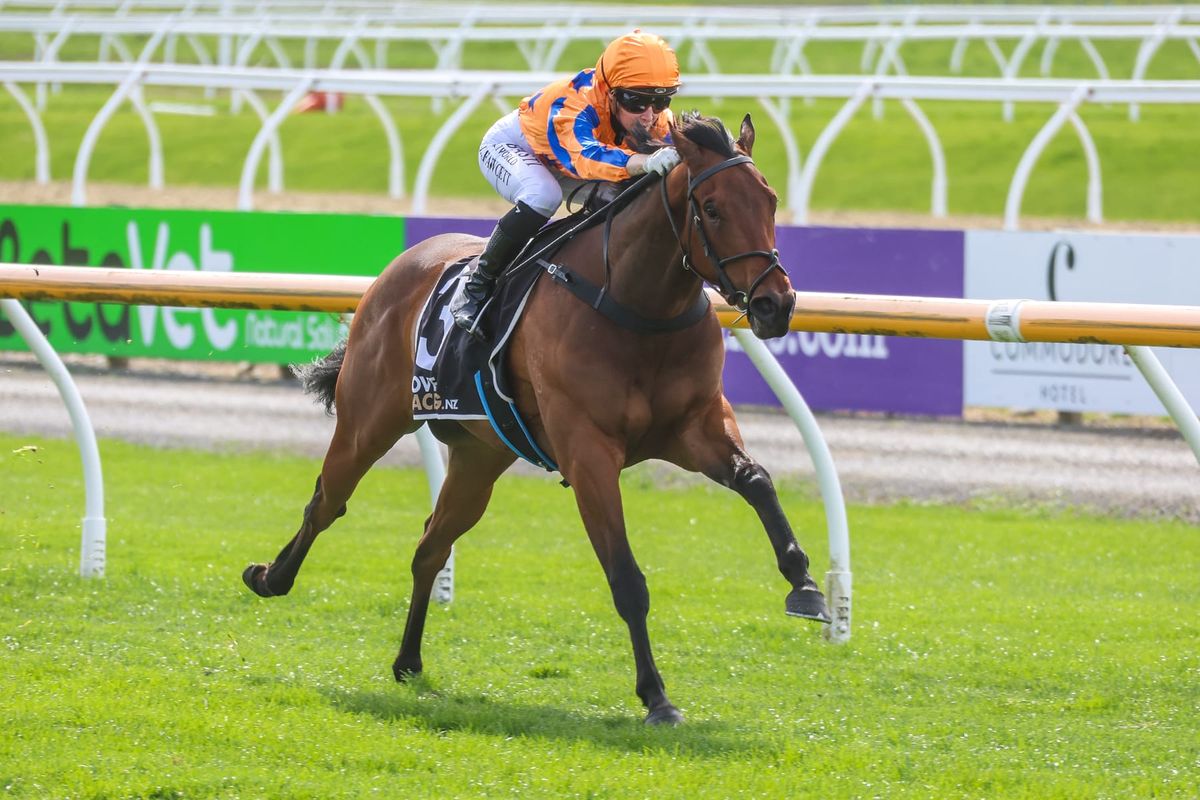 Stakes win won’t come Out Of The Blue for talented juvenile