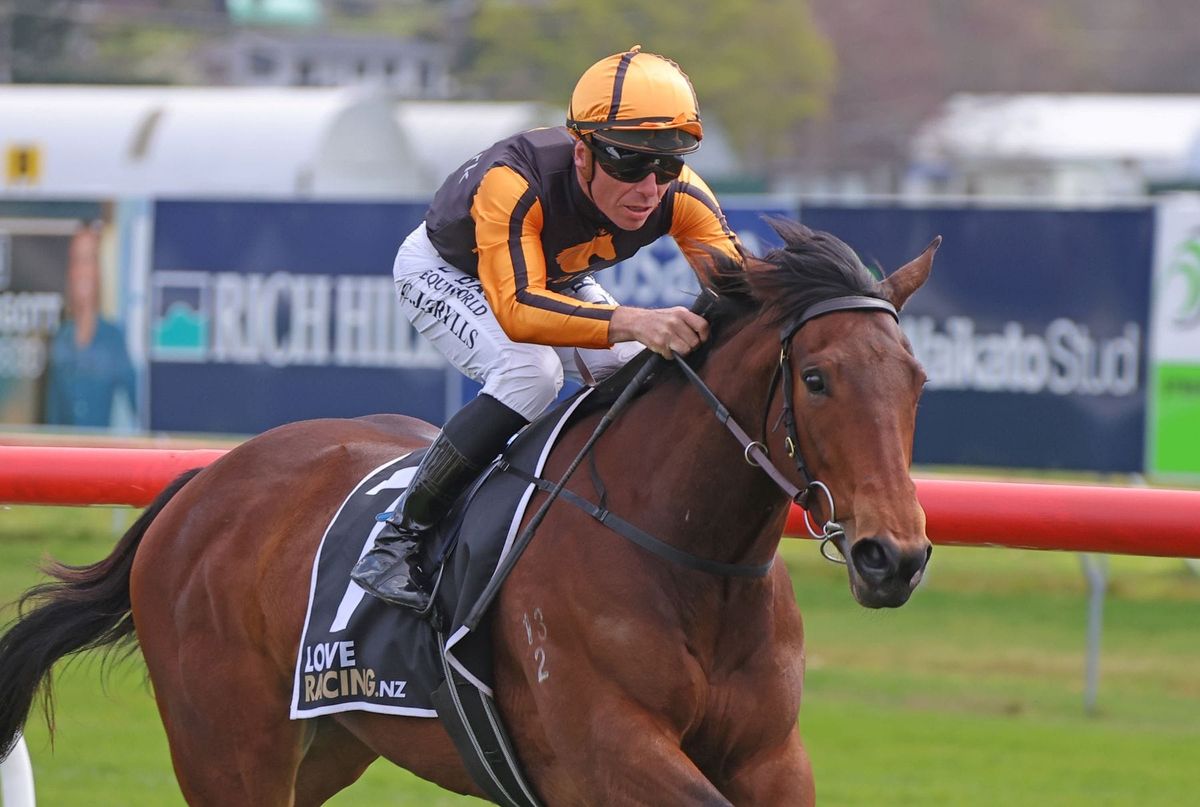 Plan B for Places To Be