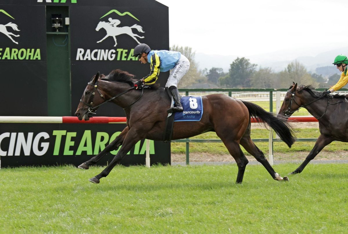Ralph trio set for Te Rapa