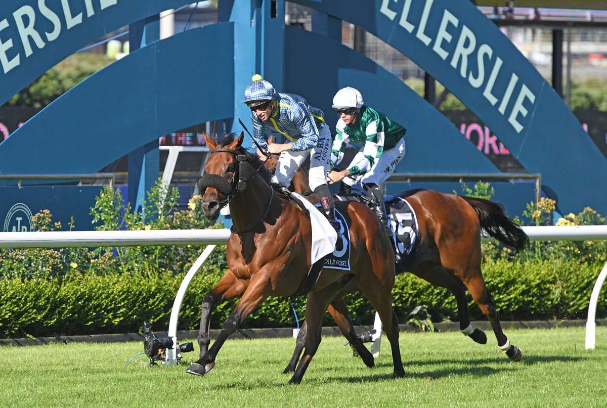 Road To Paris out to add to stable’s Derby tally