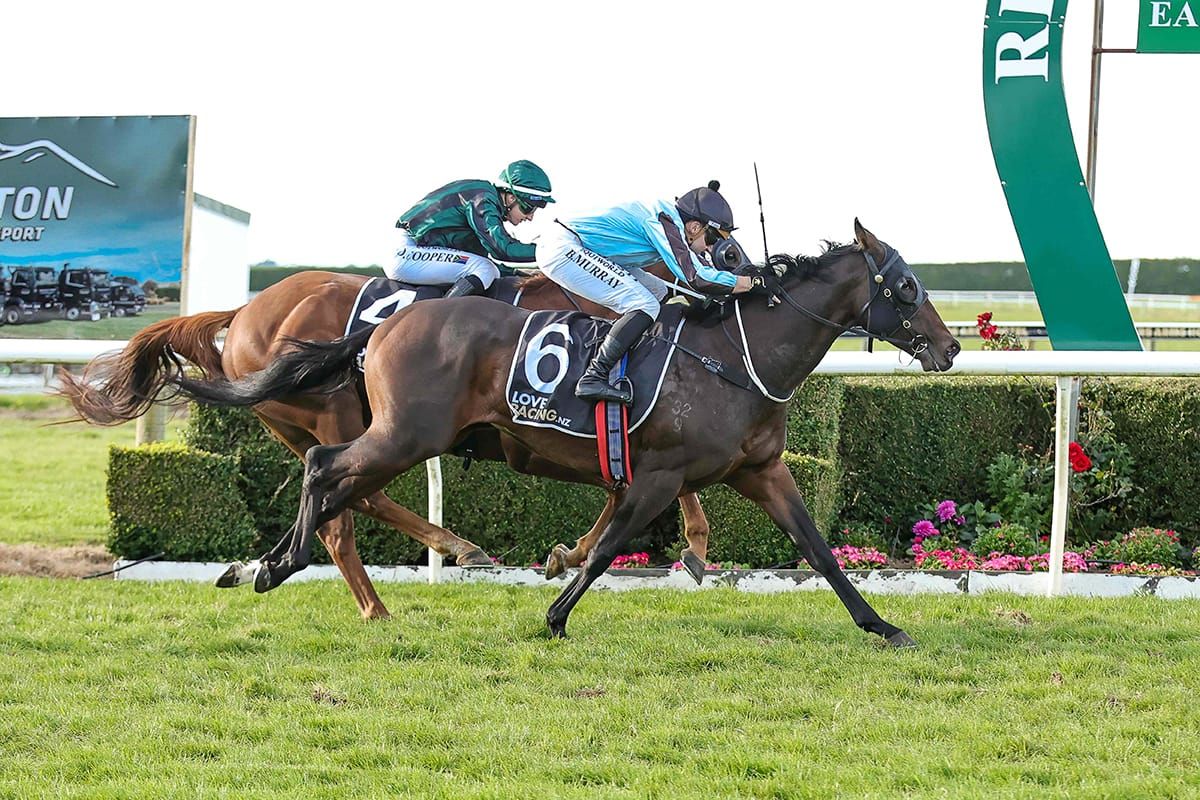 Rochello leading local charge for McKay