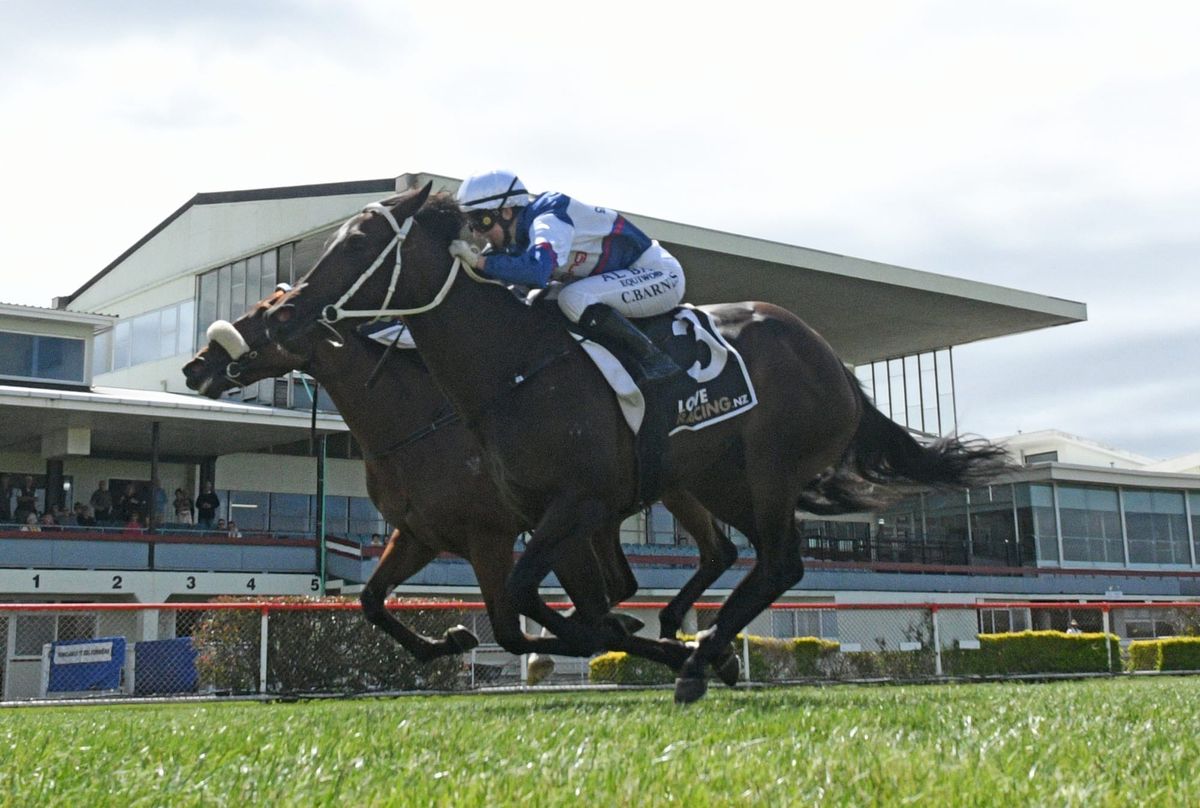 No fear about smart filly coping with more ground