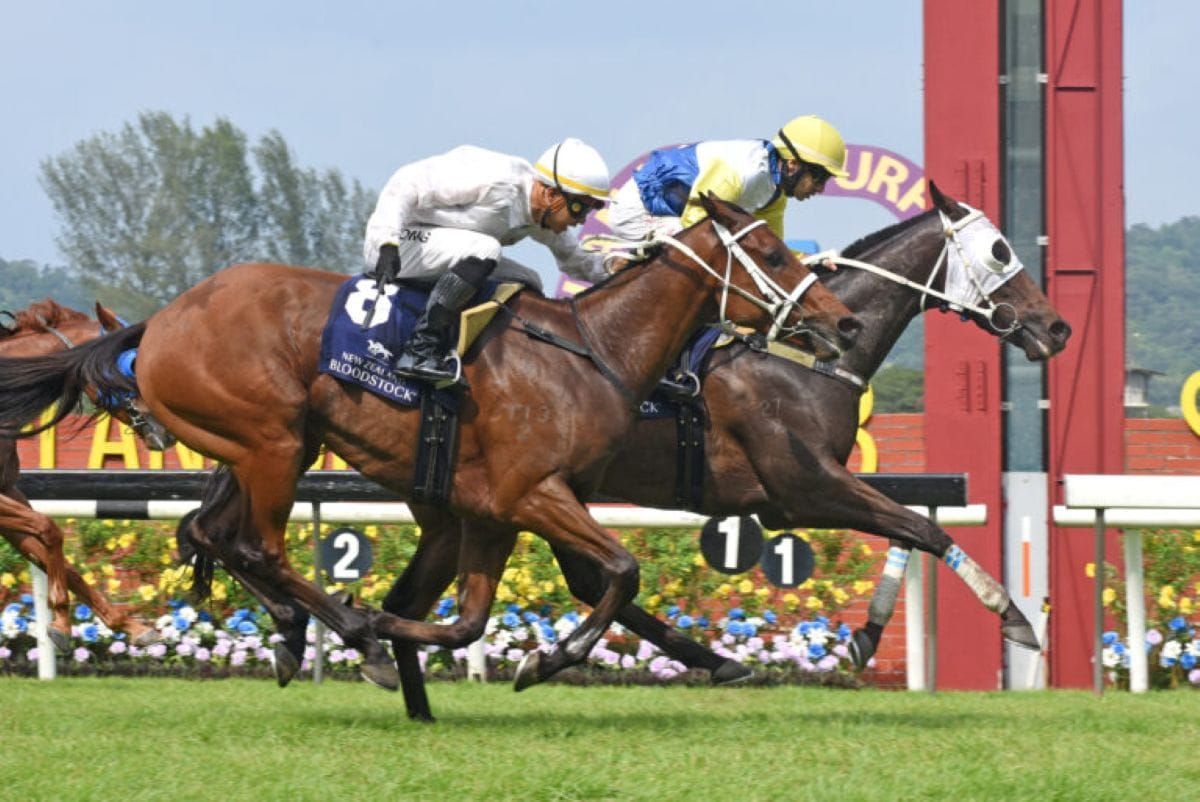 Sir Ruby Reigns in NZB Ready to Run Graduate Cup