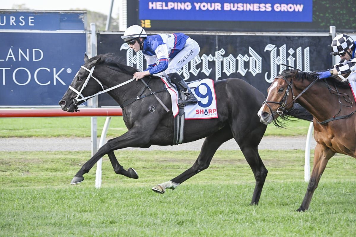 Go Racing assembling strong Melbourne Cup contingent