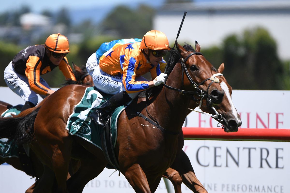 To Bravery Born Hong Kong bound