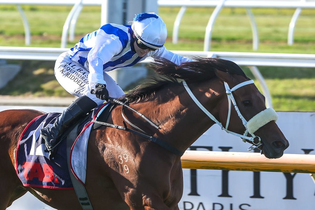 Toa Haka too tough in Southern Alps final