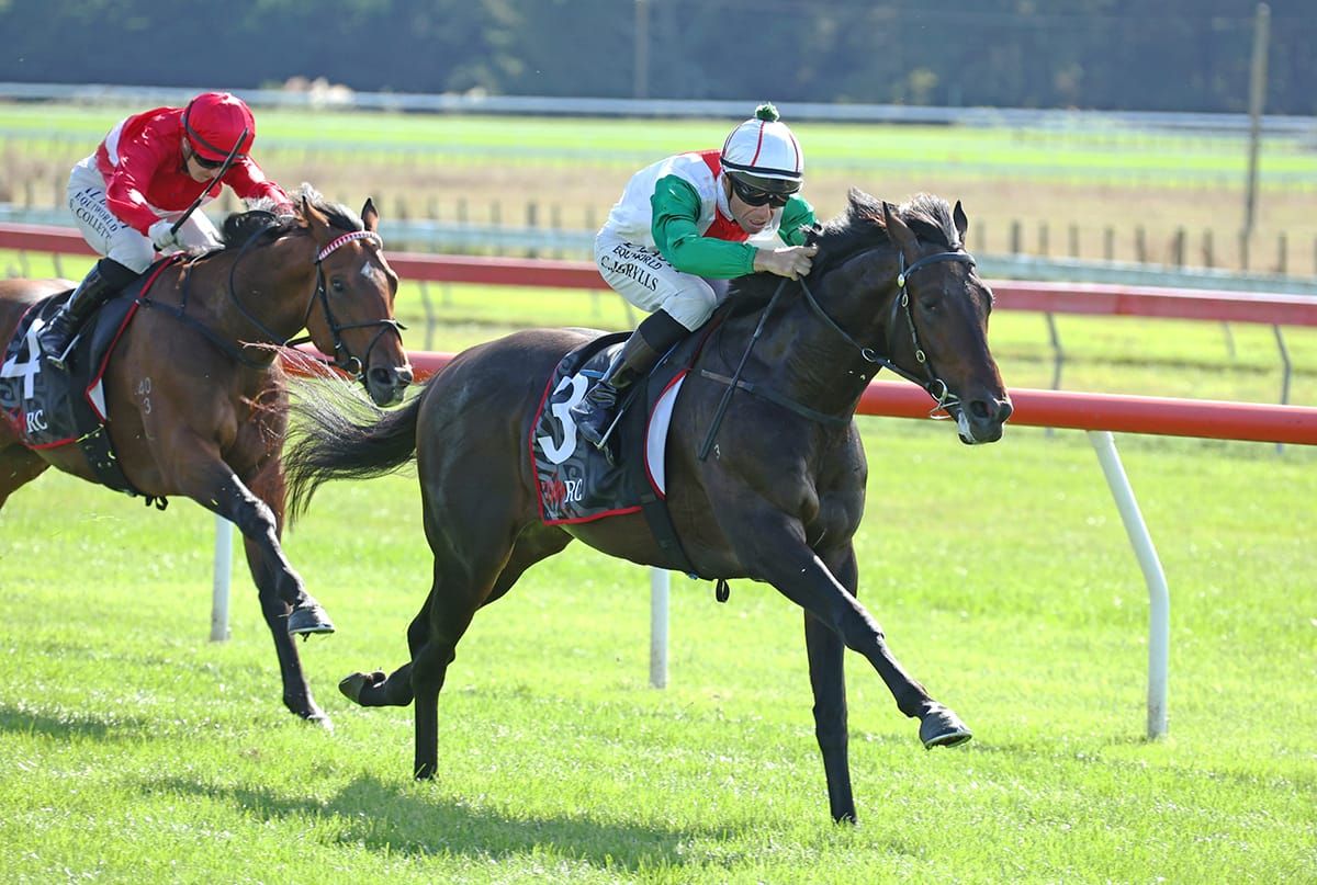 Zame colours to the fore once more