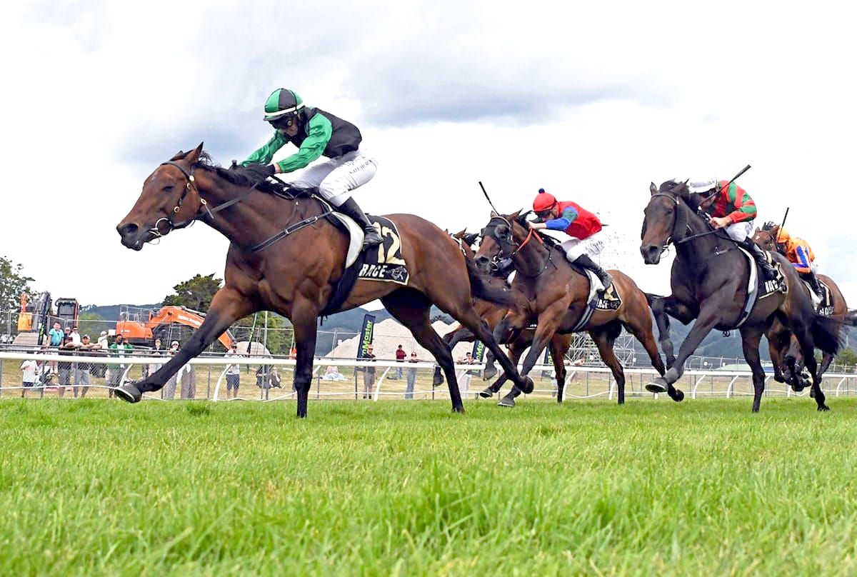 Marotiri Molly retired