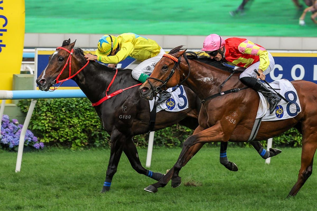 Lucky Sweynesse bids for G1 mile breakthrough in FWD Champions Mile for Cheng family