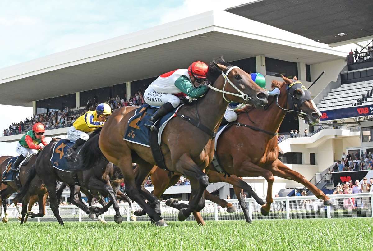 Marsh mares add further quality to Gavelhouse Plus auction