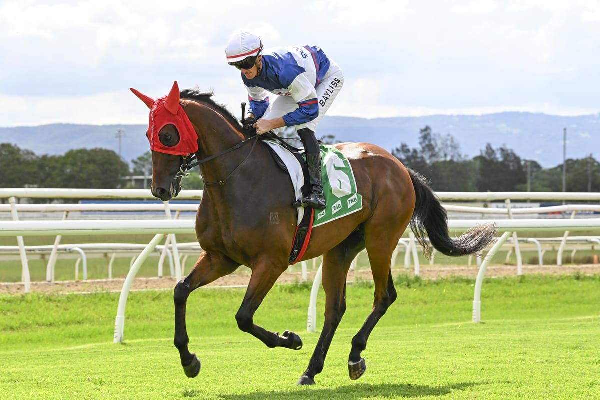 Cup performance to determine Maison Louis’ winter path
