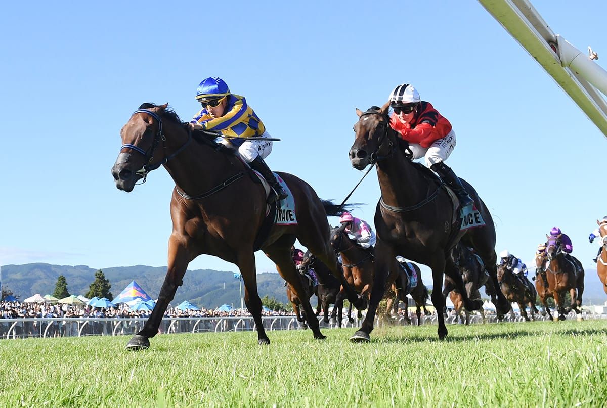Gray makes long-awaited return to Riccarton