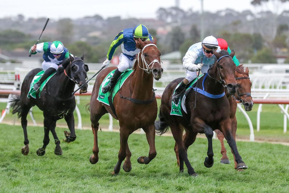 Any Luck prevails in the Warrnambool Cup